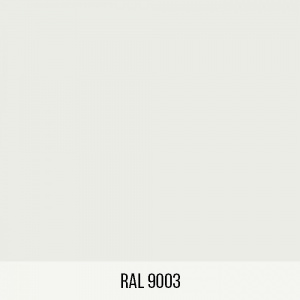 569-ral_9003-1000x1000