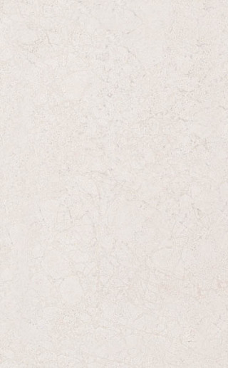 nastennaya_plitka_sorbonna_6355_bezh_25x40_kerama_marazzi_985