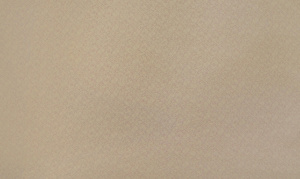 987ef7aa402913b19ef24fbcfb2a2cfb