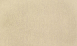 be951bac6d44952970b44ac35f5aa26a