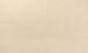 27a985e58426e1d4a757f95dceac111e