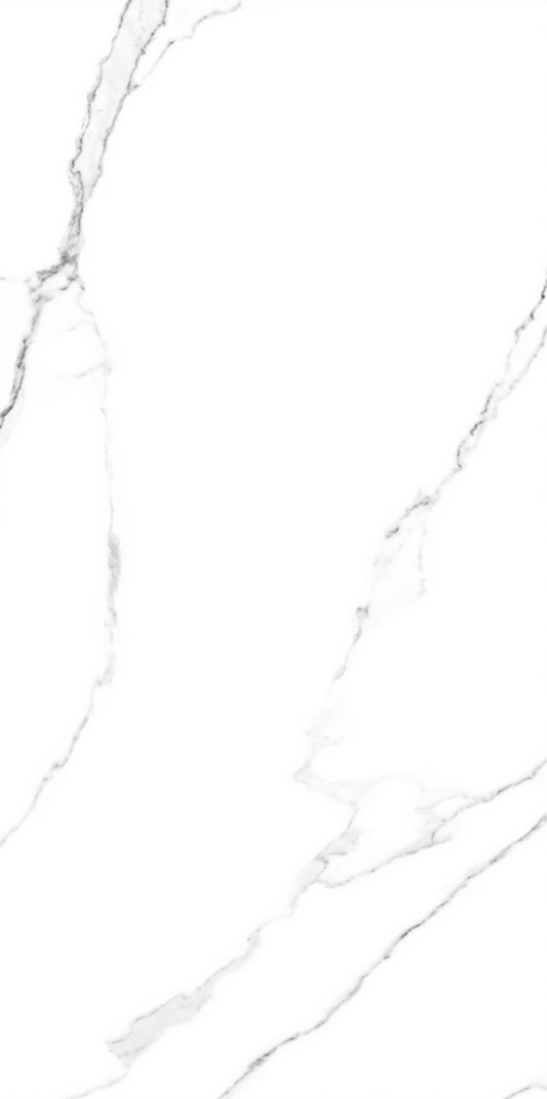 y8moo61g6cvmwkefkqj3g24t2nfd6lti