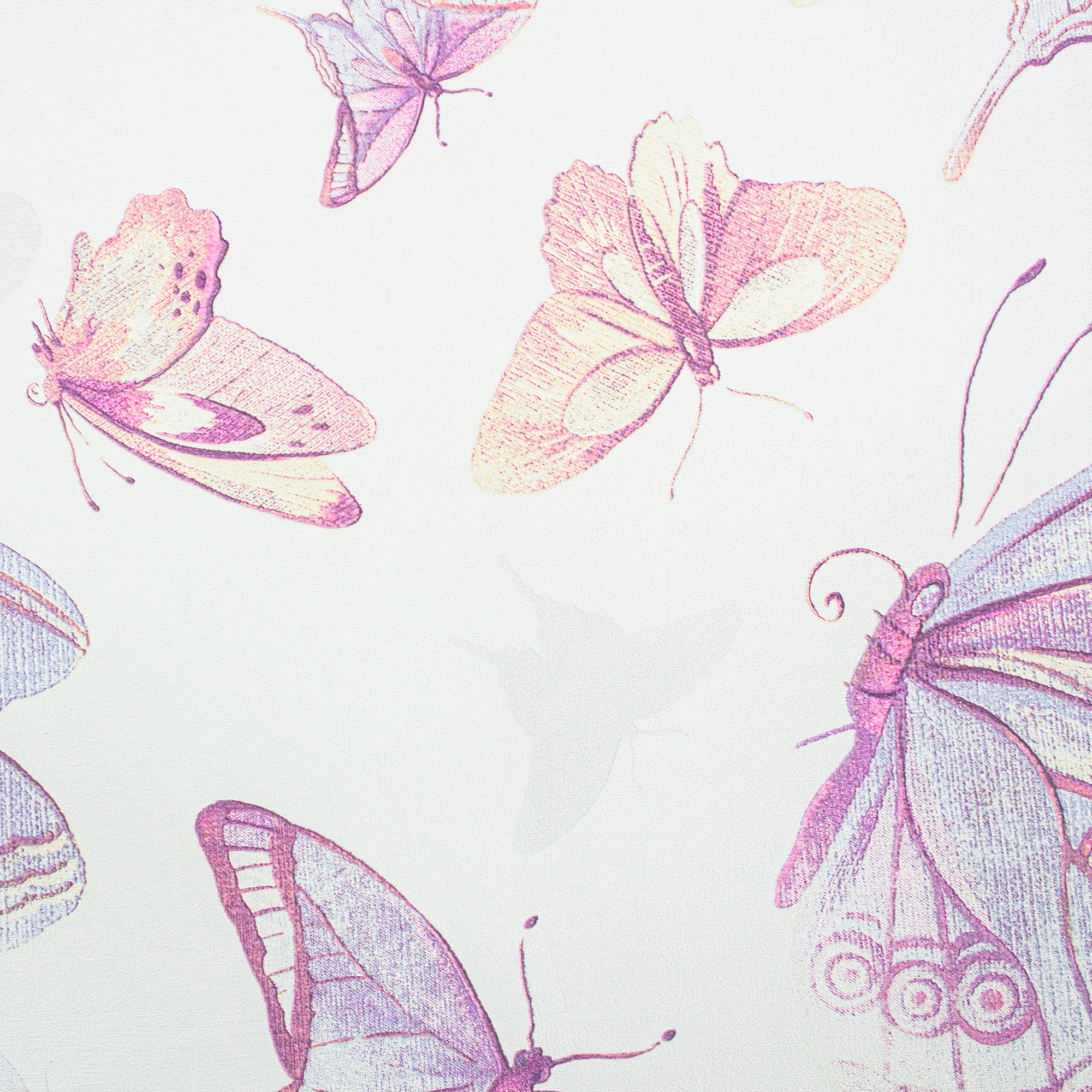 c8c97bbb11007122c95050b2aa01fdfe