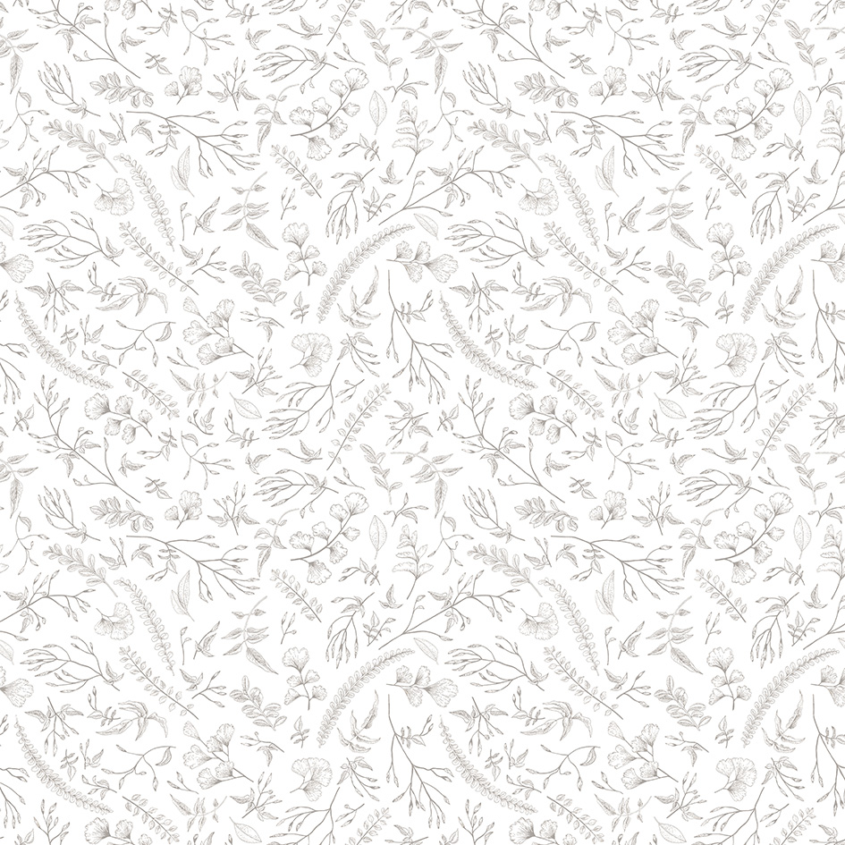 v5omd8g28b66xc0n91oasx5zt258d85u