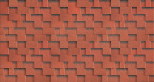 Fokstrot-Ryabina_utro