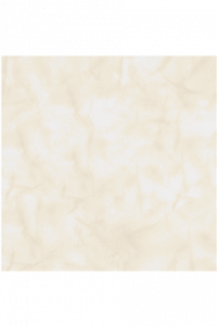 230x345_4602_beige