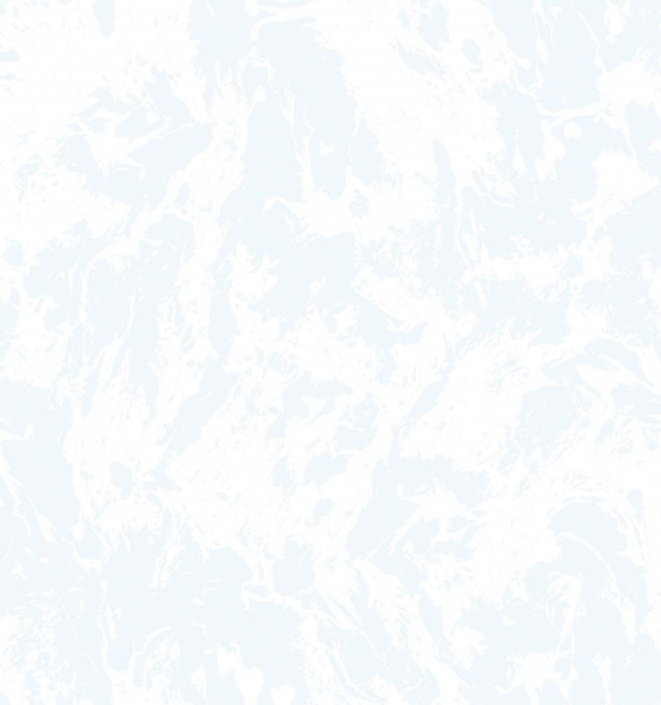 ЛИРФОН 01