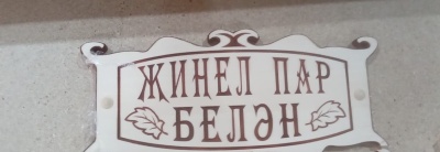 IMG_2637 - копия