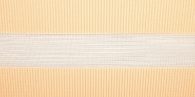 Рулонная штора День-Ночь 60*160 абрикос