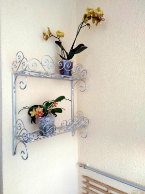 76bec4bee2c46fb224a59d8225780215