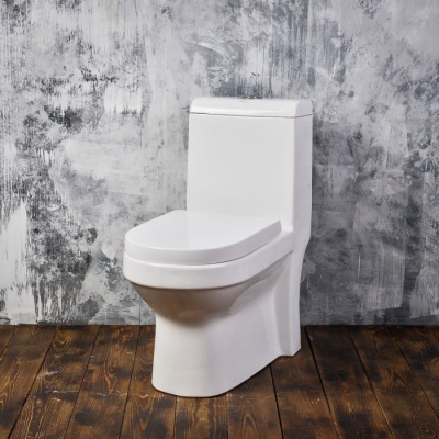 unitaz-monolit-705b-so-vstroennym-bide-sidene-dp-s-gofroj-i-podvodkoj