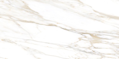 ft9e35ak3r5k31n704k898l4g825xdu2