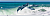 oad-iblock-f6e-46-1000x1340