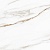 Royal-white-PG-01-450kh450-F1