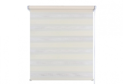 Рулонная штора День-Ночь 50*160 молочный
