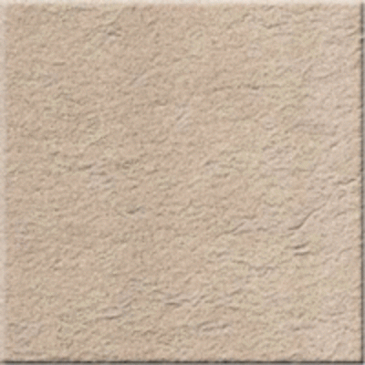 a76e27cc-d4fc-11e5-80ef-00155d630f8e-500x500