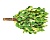 1514b9a35daecbdc95b99a208ec70f19